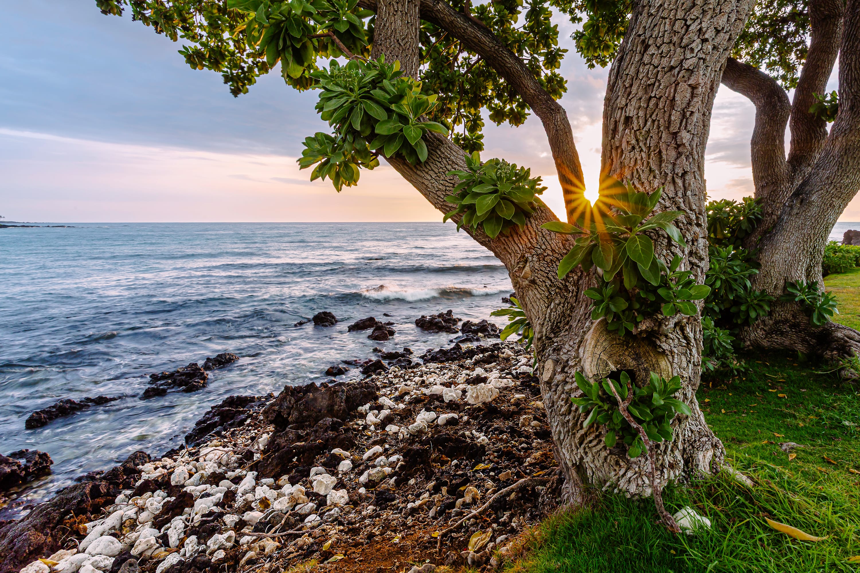 Hawaii I